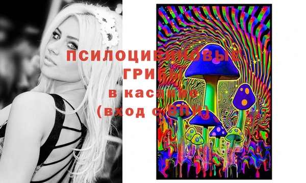 твердый Зеленокумск