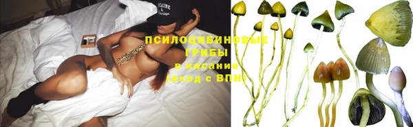 хмурый Сафоново