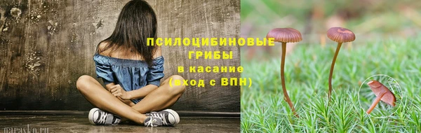 бутират Зеленодольск