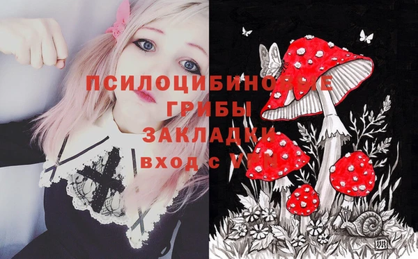 бутират Зеленодольск
