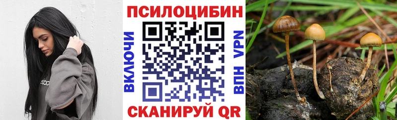 Псилоцибиновые грибы Psilocybine cubensis  даркнет состав  Себеж 